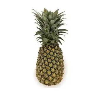 PINEAPPLE 1 U