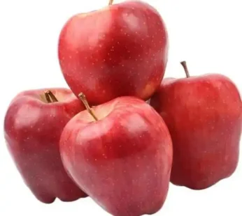 APPLE RED DELICIOUS