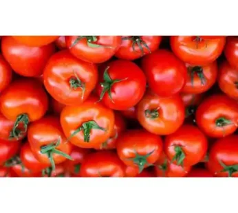 HORECA PACK TOMATO LOCAL CRATE (PER KG)