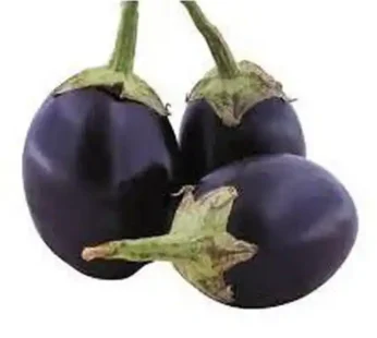 HORECA PACK BRINJAL BHARTA (PER KG)