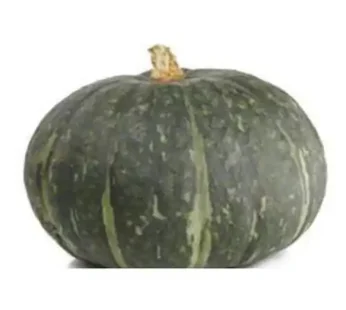 HORECA PACK PUMPKIN (PER KG)