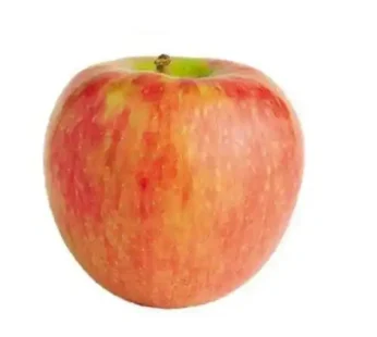 APPLE KASHMIR (PER KG)