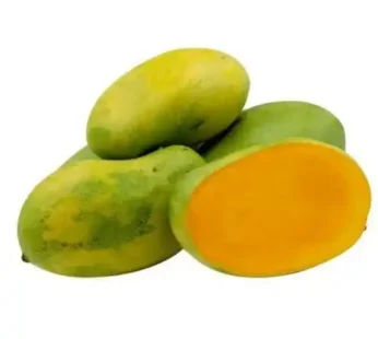 MANGO DASHERI (PER KG)