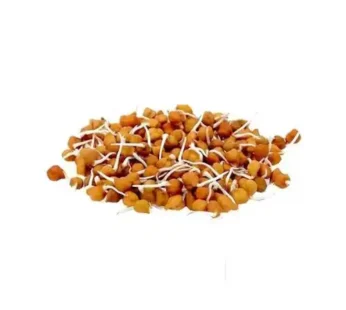 SPROUT BROWN CHANNA 200 G